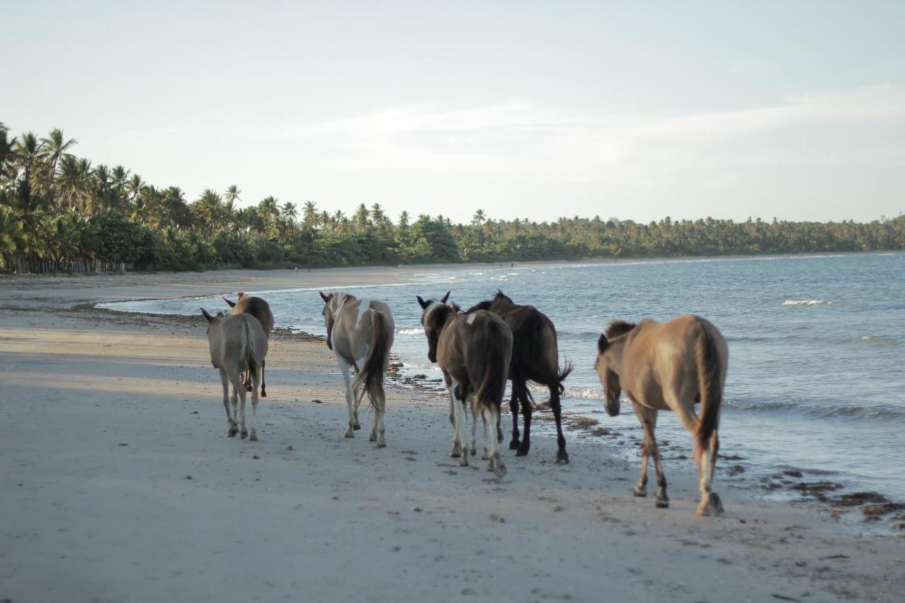 Pousada Nascente Do Sol Velha Boipeba Esterno foto